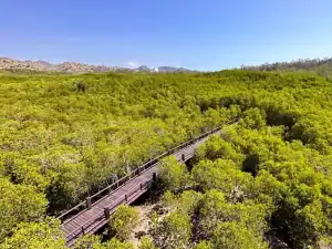 Pran Buri Forest Park: naturaleza intacta en Tailandia